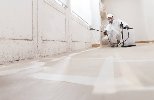 24/7 Emergency Mold Remediation experts in Capitol Heights, MD